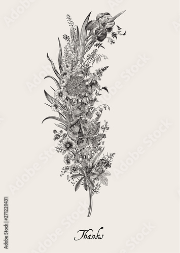 Lovely Garden. Flower feather. Vintage floral element. Spring and summer garden flowers. Black and white..