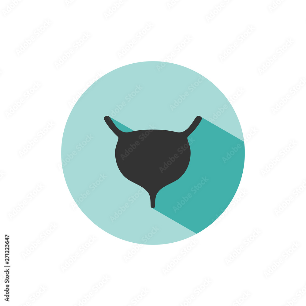 Human organ. Bladder icon with shade on green circle Human organ. Bladder icon with shade on green circle
