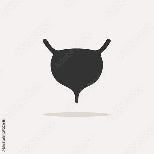 Human organ. Bladder icon with shadow on beige background