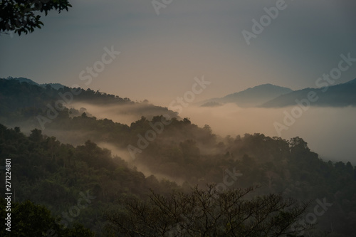 Fototapeta Naklejka Na Ścianę i Meble -  Mist over the forest at sunrise near Houayxai, Laos