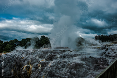 Te Puia geyser erupting in Rotorua, New Zealand North Island © Yann