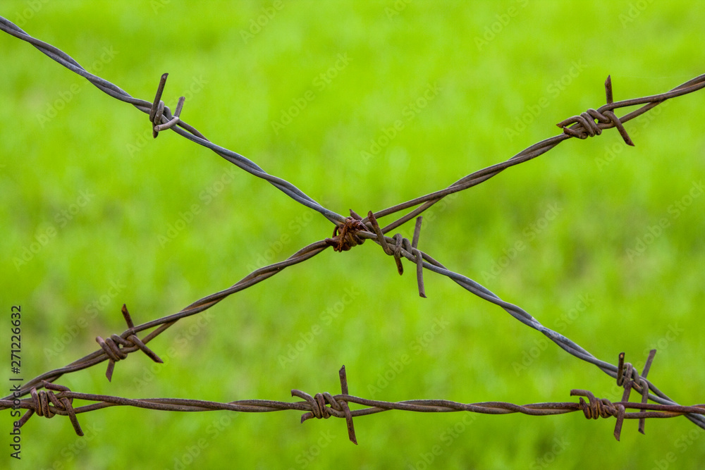 old barbed wire fence with grassy lawn in the background old barbed wire fence with grassy lawn in the background