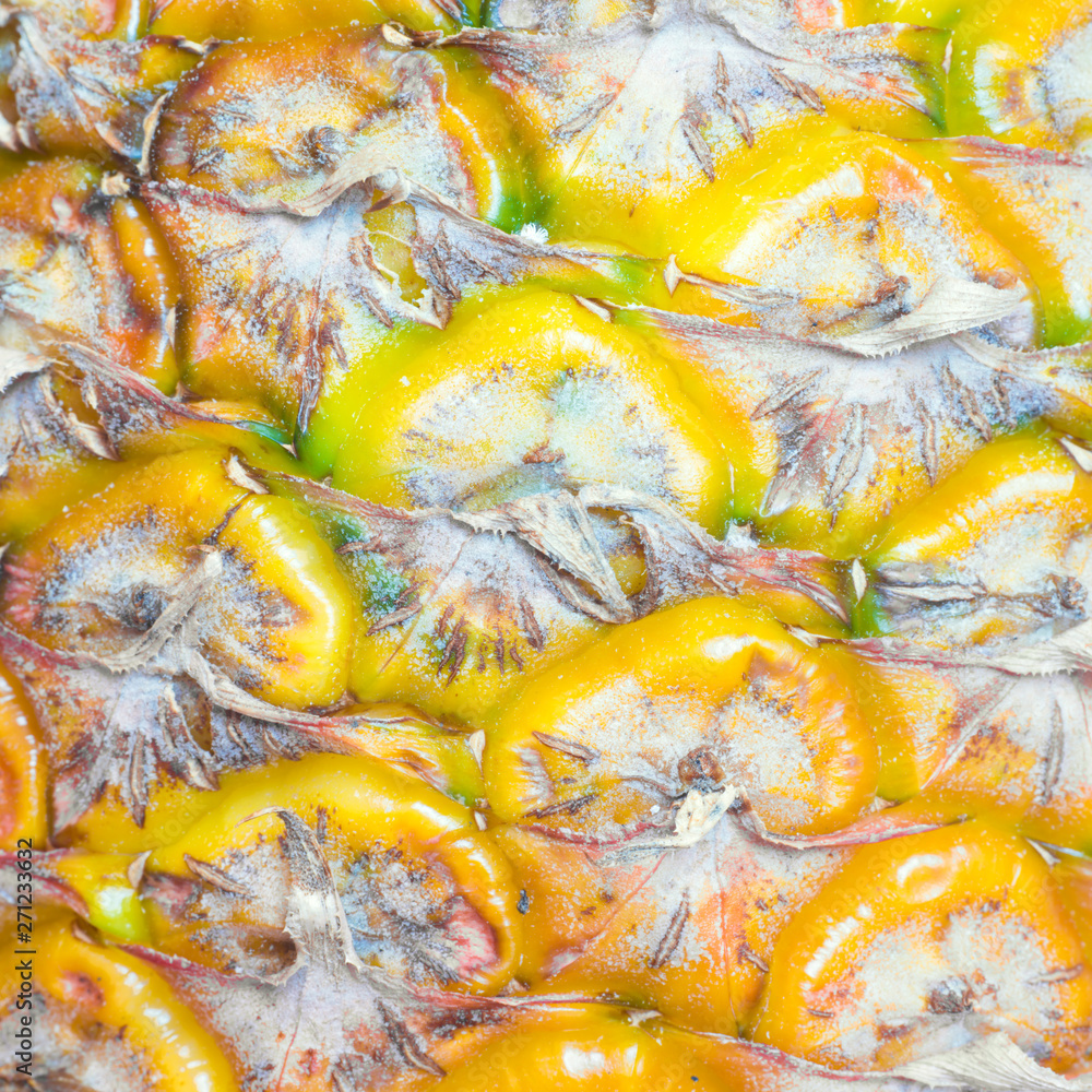 Macro texture of tropical fruit pineapple skin. Can be used as nature food background Macro texture of tropical fruit pineapple skin. Can be used as nature food background