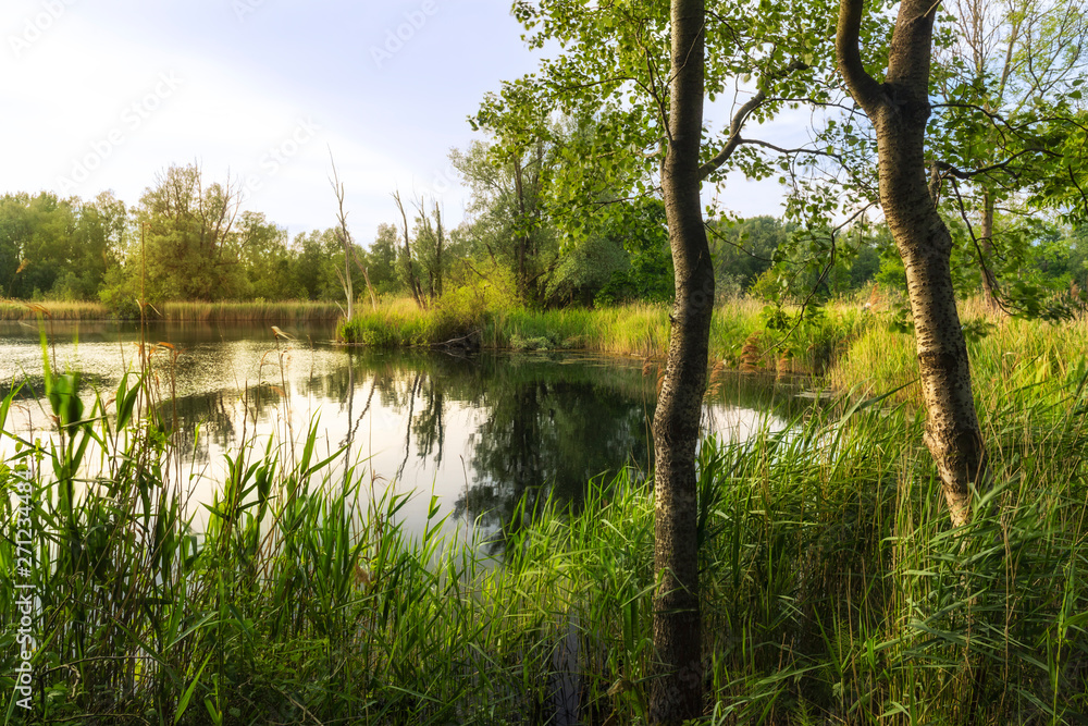 Fototapeta premium Walenhoek, Niel, Belgium: Beautiful small lake at golden hour
