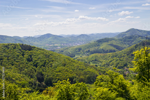 view over palatinate forest mountains