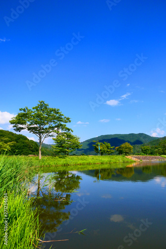 夏の水辺に憩う。田瀬　花巻　岩手　日本。９月上旬。 © 義美 前田