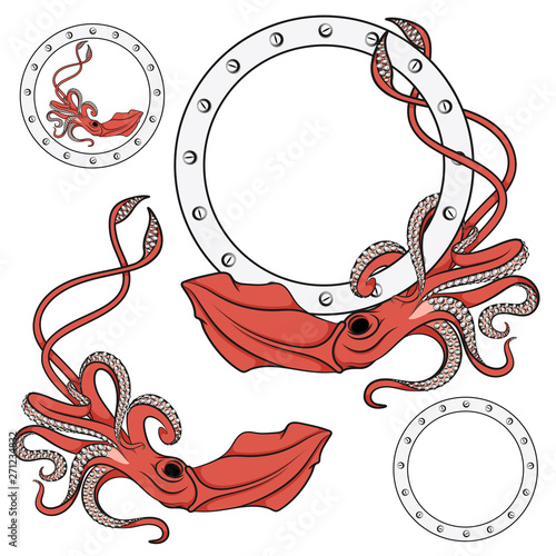 Color illustration with the image of a red squid. Set of vector isolated objects on white background.