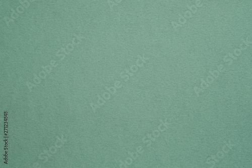 Bild auf Leinwand Dark sage green felt texture abstract art background