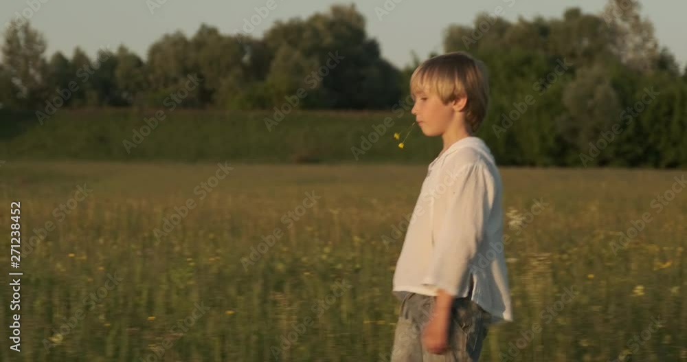 Sad Child walks on the meadow in the summer. 7 year old cute calm boy strolls on the field. Vacation concept. Side view of the blond haired boy sauntering in nature. Slow motion. Sad Child walks on the meadow in the summer. 7 year old cute calm boy strolls on the field. Vacation concept. Side view of the blond haired boy sauntering in nature. Slow motion.