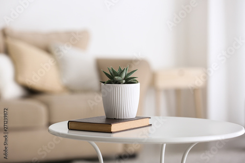 Green succulent in pot with book on table in room