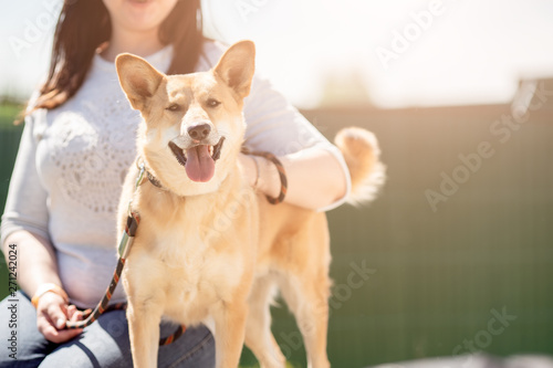 Photo of woman in jeans and white jacket sitting with ginger dog on leash on summer day © Sergey