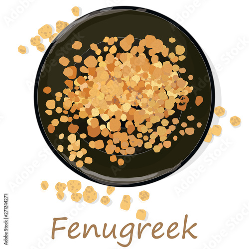 Methi, fenugreek seeds vector illustration on white background. isolated image.