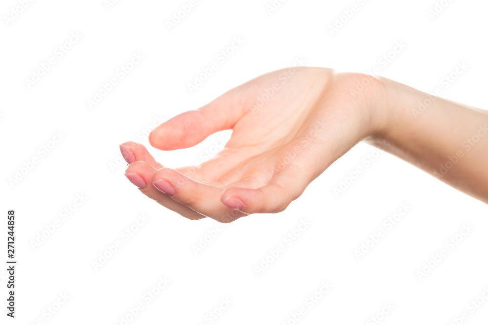 Beautiful woman's hands on the white background Beautiful woman's hands on the white background
