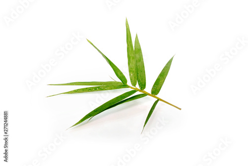 Bamboo leaves on white background.(with Clipping Path).
