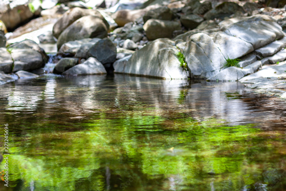 自然　川　清流　家族　バーベーキュー　BBQ