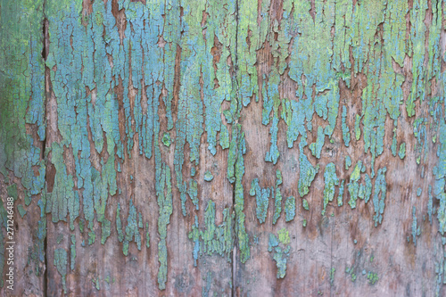 Old grunge green wood background; texture background
