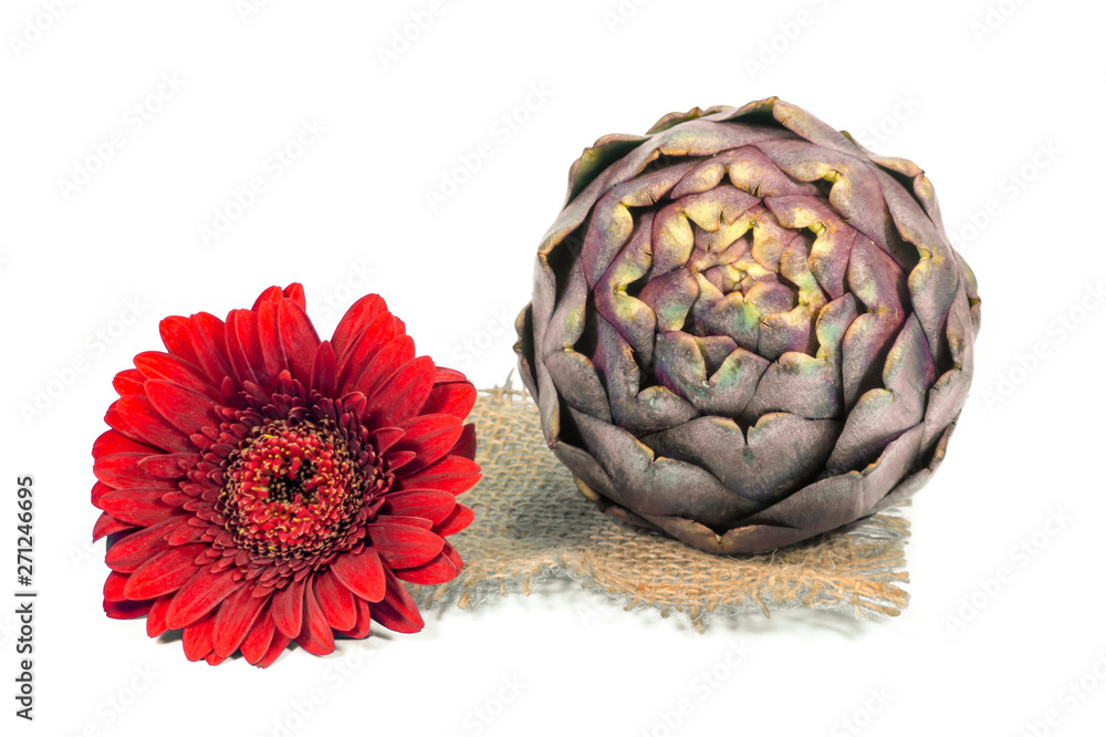 Fototapeta premium Fresh artichoke isolated on white background