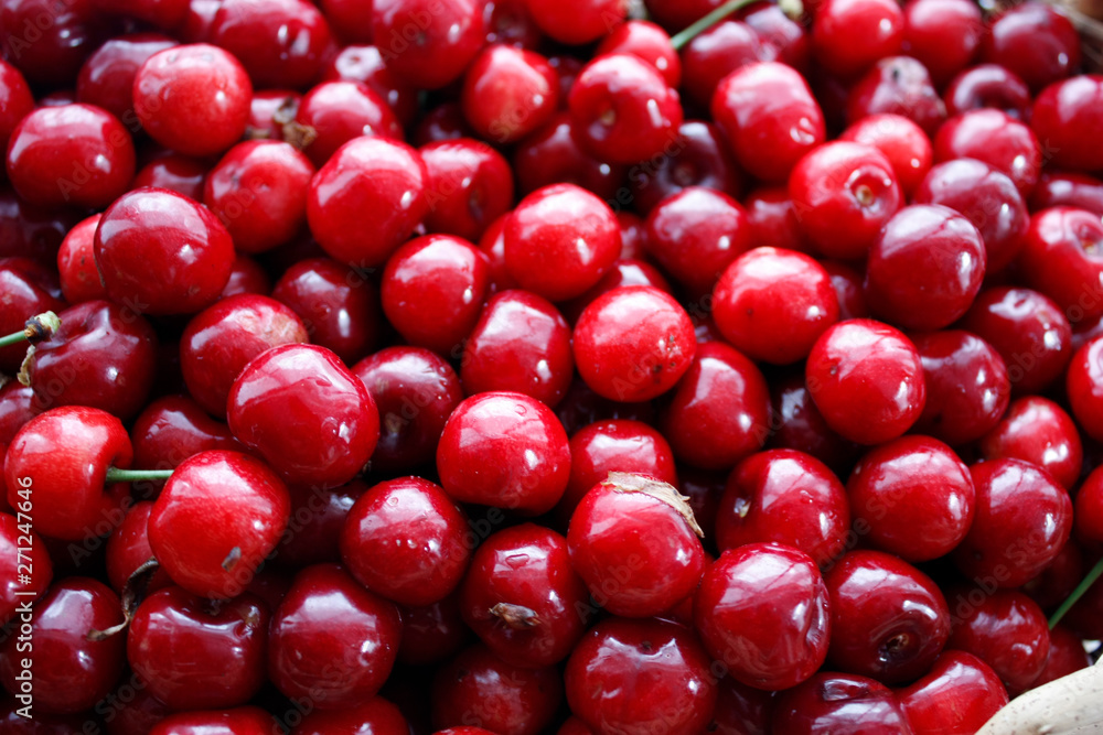 Close up of a pile of ripe cherries with stalks and leaves. A large collection of fresh red cherries. Ripe cherry background. Close-up. Close up of a pile of ripe cherries with stalks and leaves. A large collection of fresh red cherries. Ripe cherry background. Close-up.