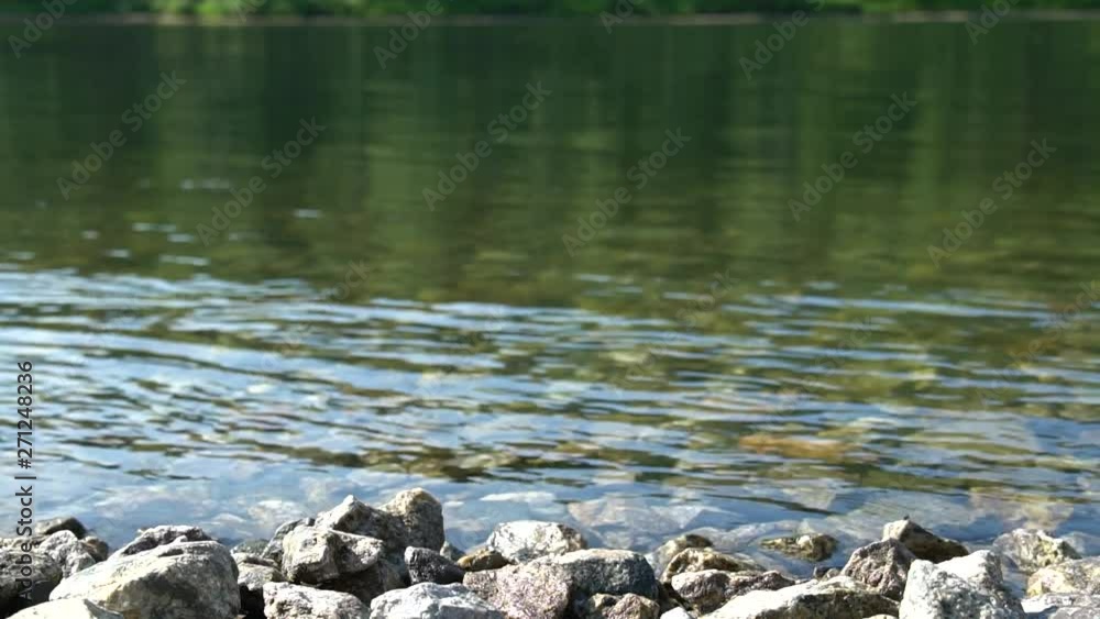 The flow of clear water in mountain river with stones in the foreground. Full HD The flow of clear water in mountain river with stones in the foreground. Full HD