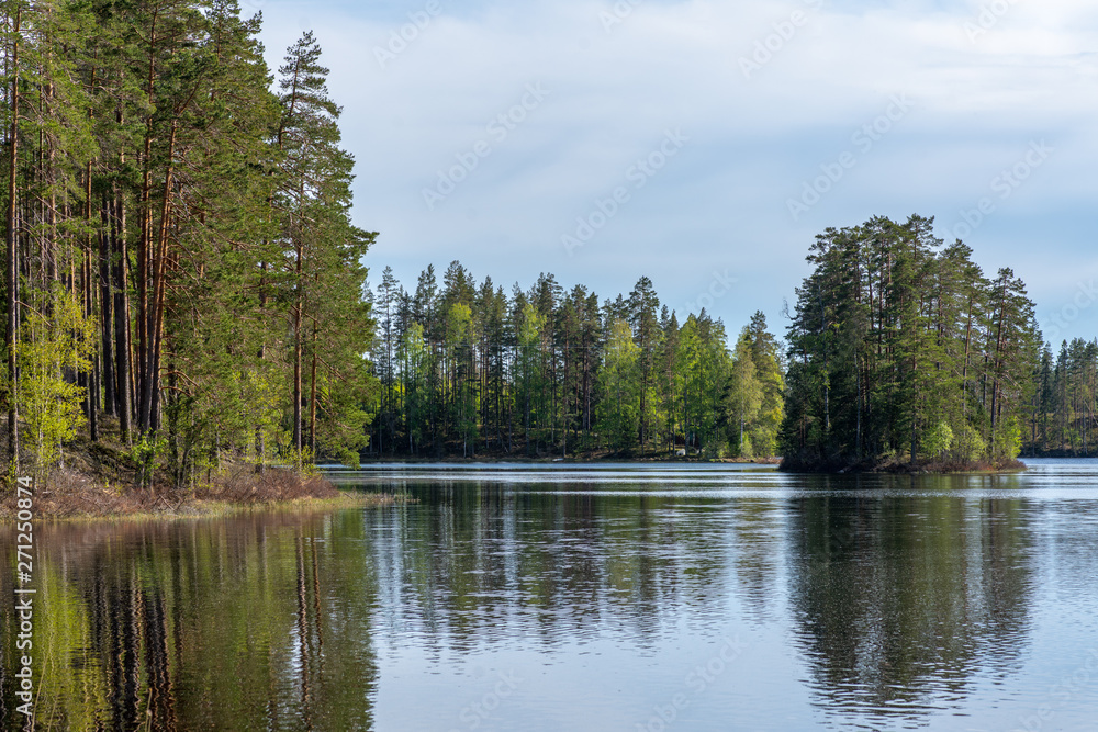 Fototapeta premium Small fishing lake in Sweden