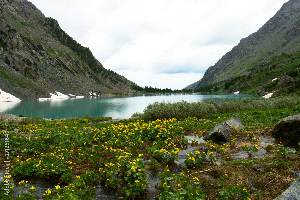lake in mountains flower