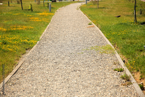 The road in the park 