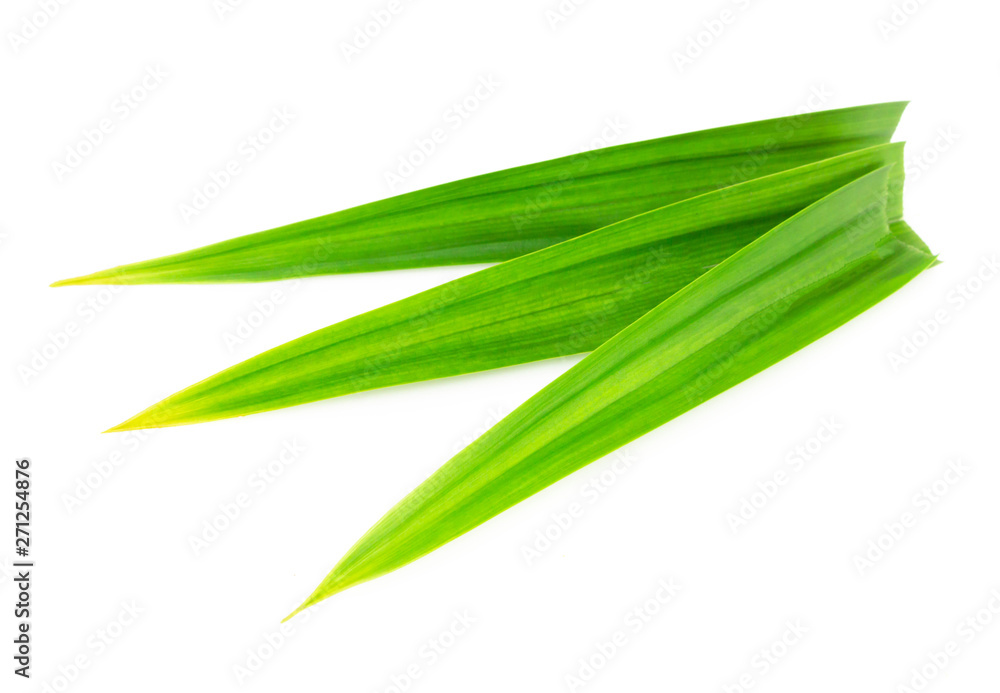 Fresh green pandan leaves isolated on white background Fresh green pandan leaves isolated on white background