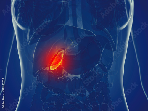 3d rendered medically accurate illustration of a womans gallbladder