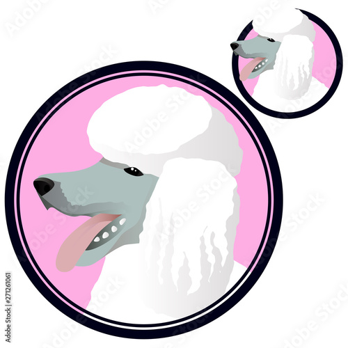 Poodle dog head in circle