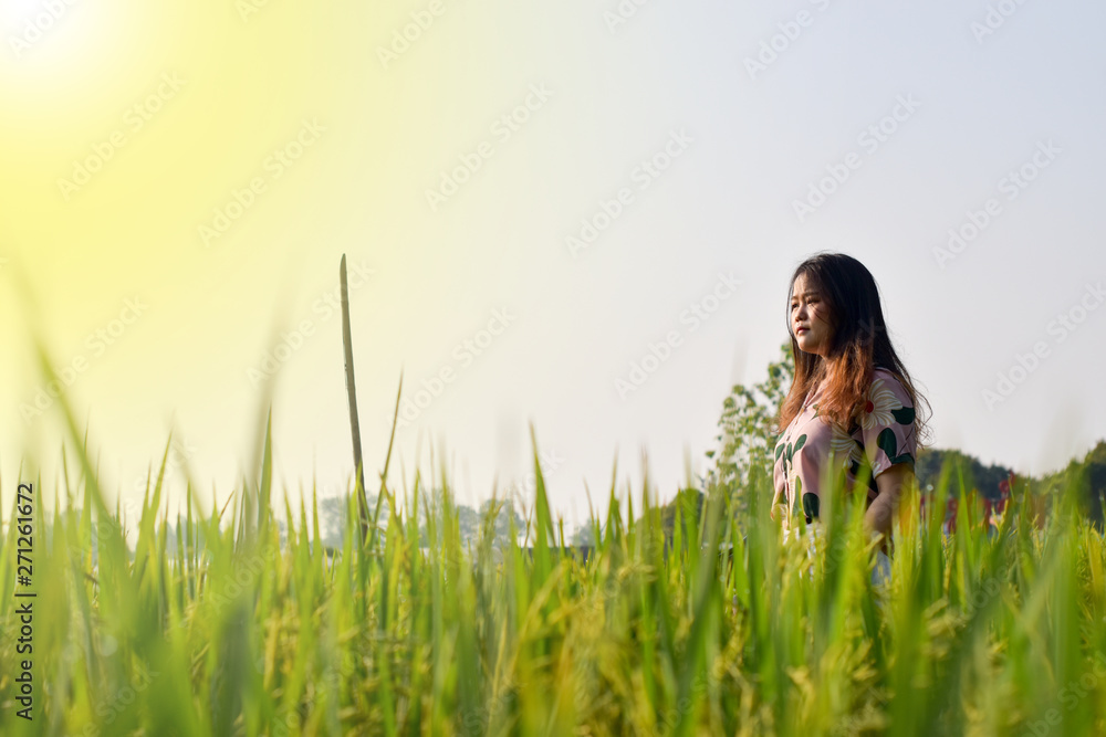 Asian girl standing and looking to something in paddy field Asian girl standing and looking to something in paddy field