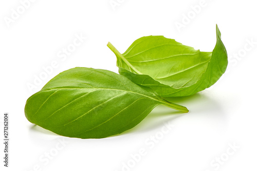 Fresh green basil leaves, macro, isolated on white background