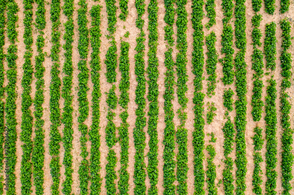 furrow furrow