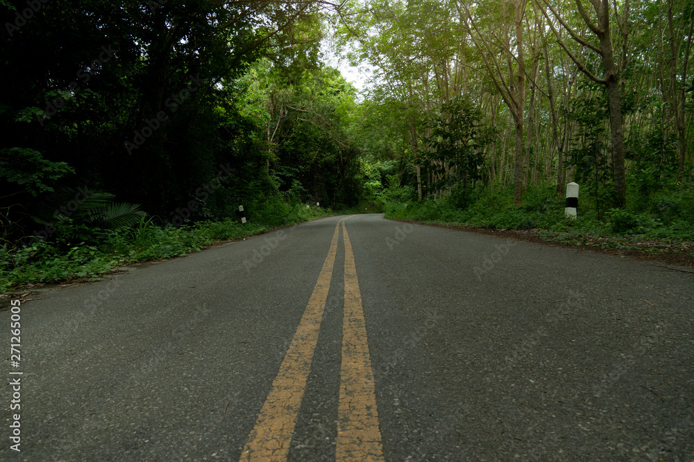 Roads in upcountry areas that have forests on both sides and on the asphalt road with a solid yellow line Roads in upcountry areas that have forests on both sides and on the asphalt road with a solid yellow line