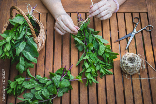 Female hands tying bunch of mint herb on wooden table