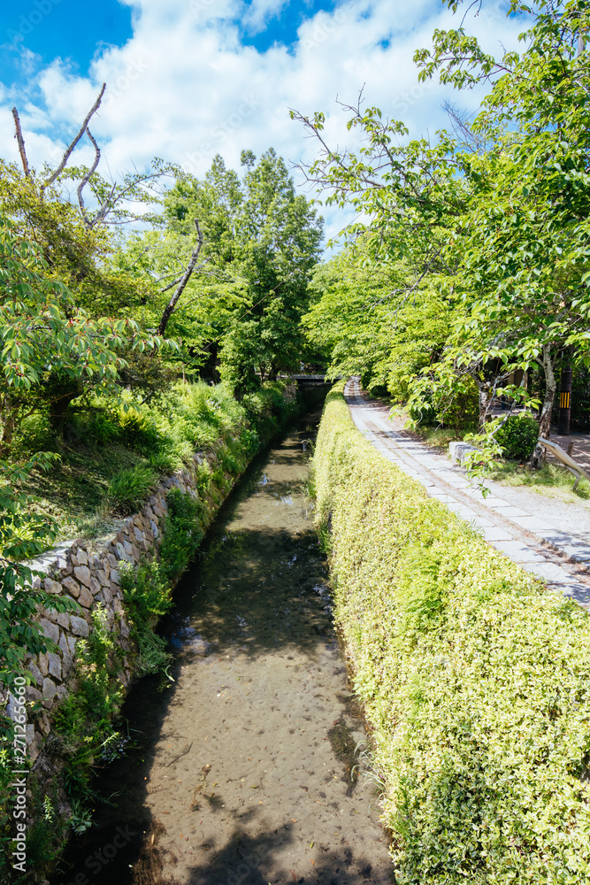 Philosopher's Walk in Kyoto Japan