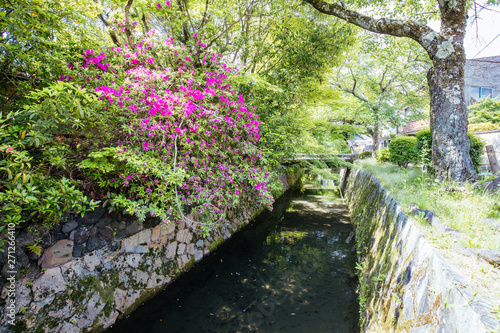Philosopher's Walk in Kyoto Japan