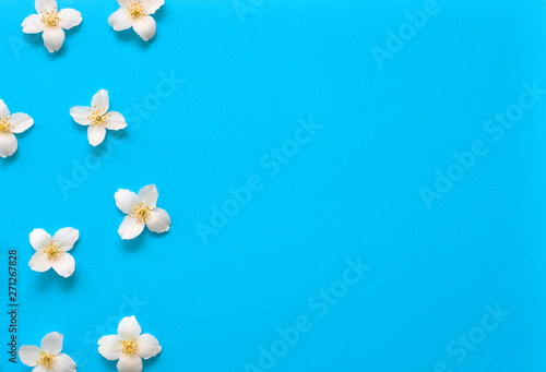 Fototapeta Naklejka Na Ścianę i Meble -  Jasmine flowers pattern top view, flat lay