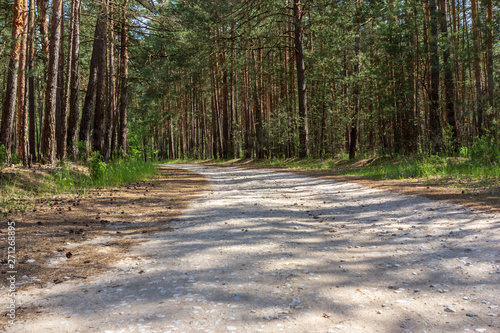 Rotate the road in the forest