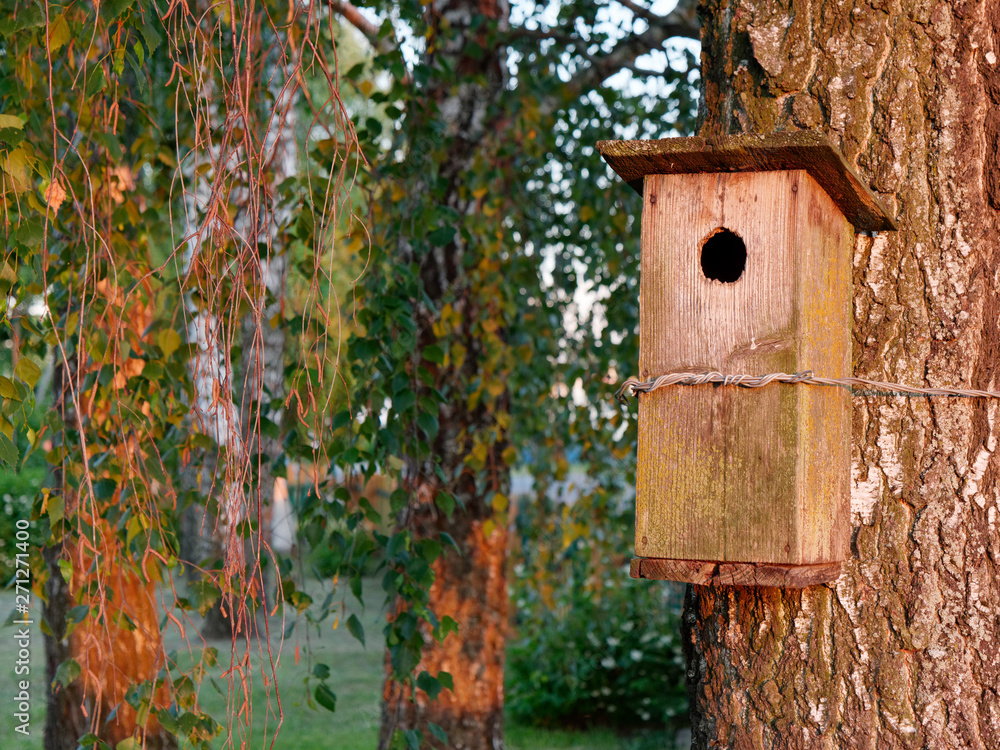 old big birdhouse on a birch tree. old big birdhouse on a birch tree.