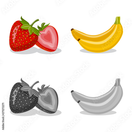 Vector illustration of vegetable and fruit sign. Collection of vegetable and vegetarian stock symbol for web.