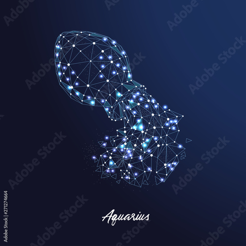 Zodiac sign Aquarius. The symbol of the astrological horoscope.Polygonal illustration