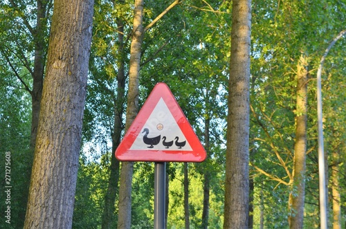 road sign warning for ducks