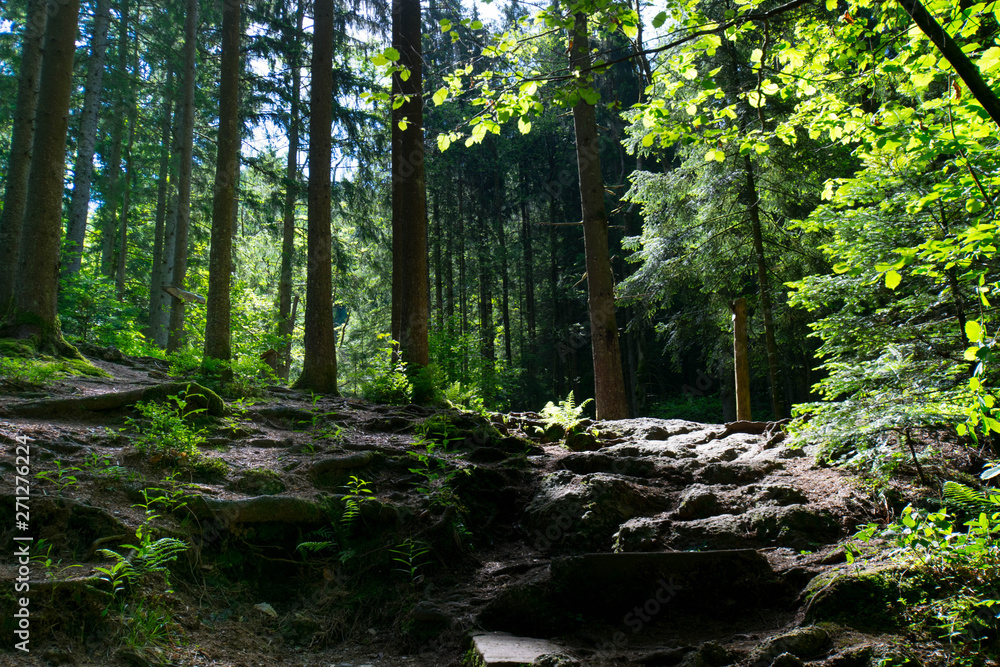 Edelfrauengrab Wasserfälle bei Ottenhöfen im Schwarzwald