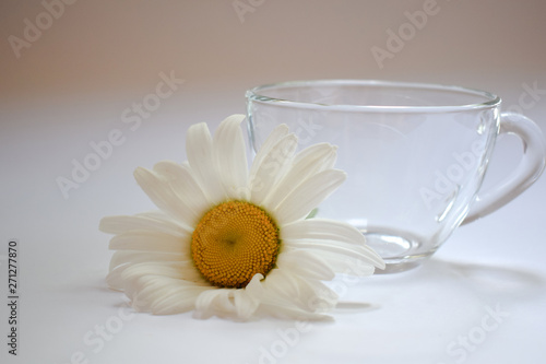 Transparent glass cup with chamomile 1 © Oleg
