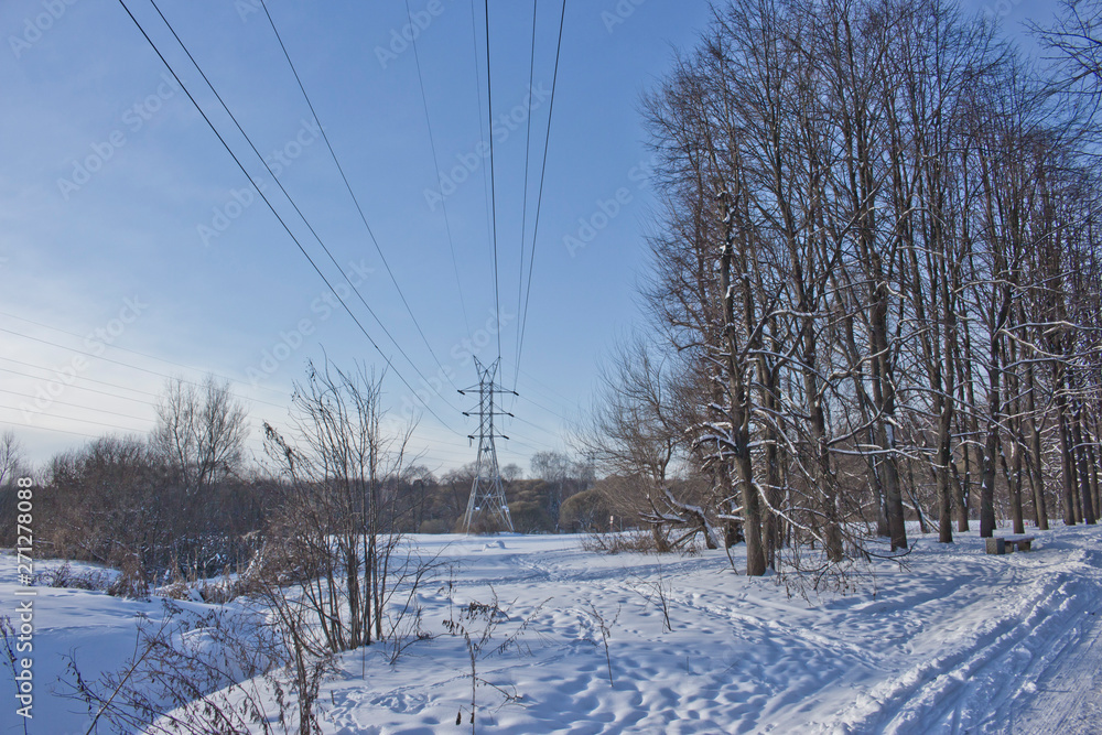 winter landscape with trees and road in winter winter landscape with trees and road in winter