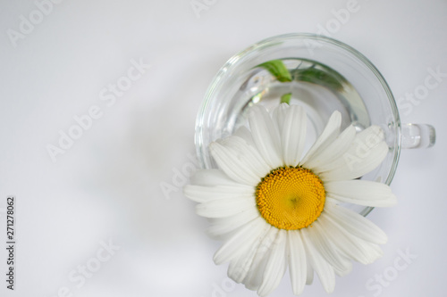 Transparent glass cup with chamomile and water 3 © Oleg