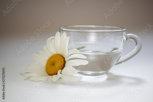 Fototapeta Naklejka Na Ścianę i Meble -  Transparent glass cup with water and chamomile 1