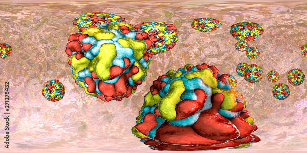 360 degree panorama view of Rhinoviruses, the viruses which cause rhinitis and common cold, 3D illustration