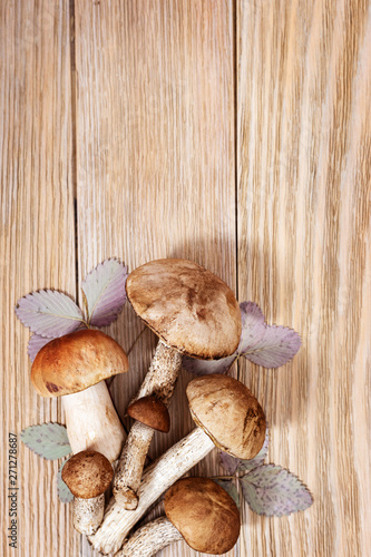 Beautiful forest mushrooms, brown cap boletus, aspen mushrooms on wooden background with copy space. Fresh raw fungus on table. Top view.