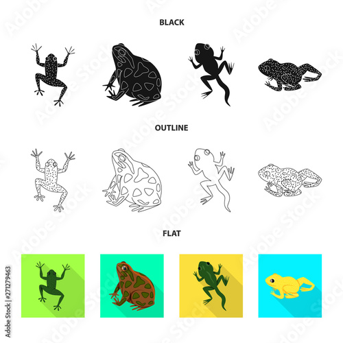 Isolated object of wildlife and bog symbol. Collection of wildlife and reptile stock symbol for web.